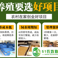 贵州源农鑫蛋白虫急招养殖户技术指导包回收