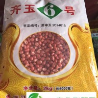 齐玉6号的产量表现与栽培要点_齐齐哈尔富裕县当地玉米种子供应