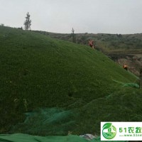 大量供应矿山生态修复植被毯