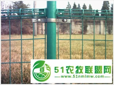 的双圈护栏网质量好/批发价格图1