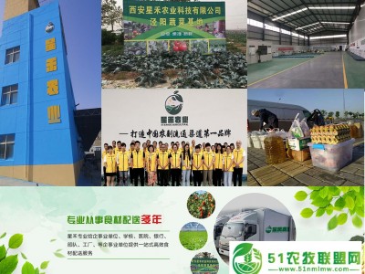 西安蔬菜水果批发配送图1