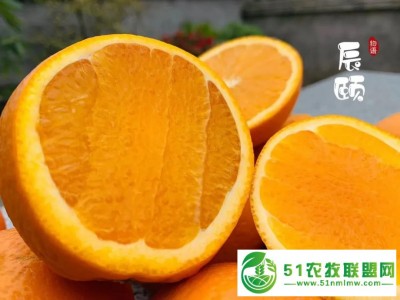 辰颐物语*创业-辰颐物语*代理-辰颐物语赚钱图1