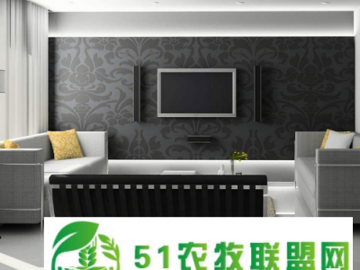 天地和怎样在施工质量上让业主放心图1