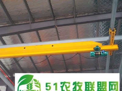 宝鸡岐山县欧式双梁起重机，单双梁起重机生产厂家图1