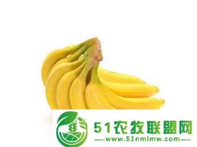 广东越南香蕉供应图1