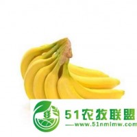 广东越南香蕉供应
