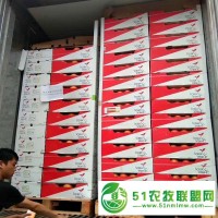 广州江南水果交易市场**供应一手货源进口水果葡萄柚南非西柚原箱30斤批发