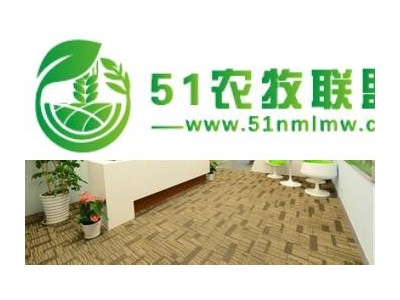 泰国冻榴莲进口清关上海哪家公司可以做图1