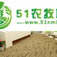 泰国冻榴莲进口清关上海哪家公司可以做