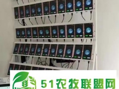 武汉蜂巢软件手机协同工作系统图1