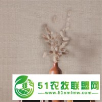 绿芙莱墙基布直接就是软装的效果欢迎来扰