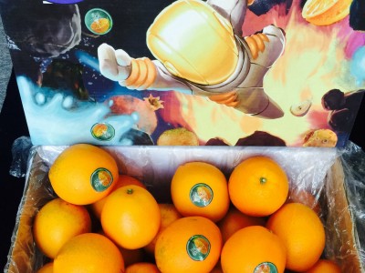 赣南脐橙 去火星或脐橙产地批发 橙子批发图1