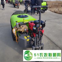 青岛小型汽油打药机 手拉风送打药机 200升自走式打药机操作简单