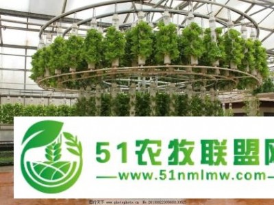 滨州温室大棚厂家 无土栽培设备 种植技术图1