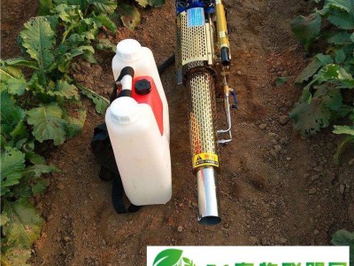多功能小型烟雾水雾一体机 双管脉冲便捷式烟雾机 公共场所别墅消毒机图1