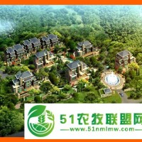 正规写虎林商业计划书公司-商业计划书客户至上