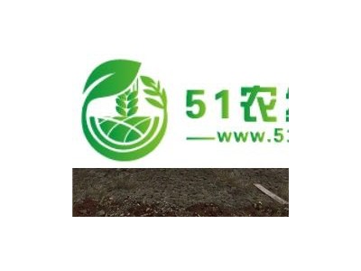 昆明蔬菜玻璃大棚造价-蔬菜玻璃大棚-云南思润温室大棚批发价图1