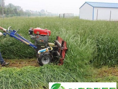 手推小型手扶收割机 艾草苜蓿养殖割草机图1