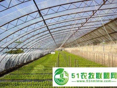 七洲智能温室大棚造价 大连生产智能玻璃温室大棚的企业 pc板连栋温室大棚图1