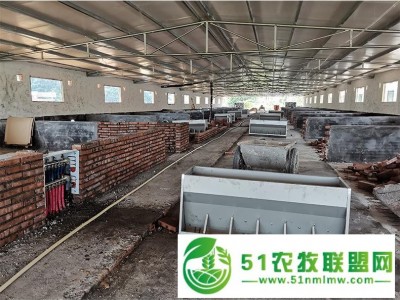 猪用自动下料猪料槽可自动加料加料机不锈钢喂猪设备图1