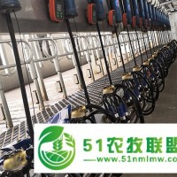 成城物联-广西并列式奶厅-奶牛并列式奶厅