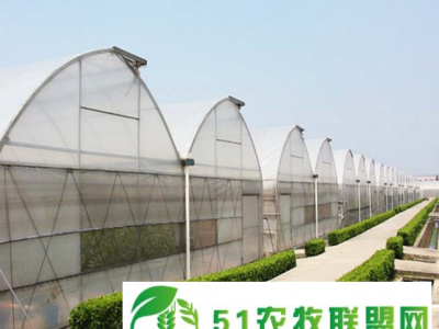 花卉薄膜温室大棚 蘑菇种植大棚 农业蔬菜大棚 的建设图1