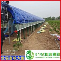 养鸭大棚建设 笼养鸭棚施工搭建 养鸭棚安装厂家