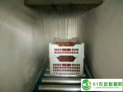 樱桃车厘子预冷机 水喷淋樱桃保鲜机图1