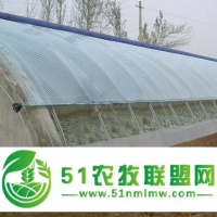 厂家供应 冬暖式日光温室 山东连栋薄膜温室