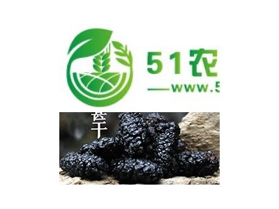四川成都桑果果供应渔门德昌**桑葚干,黑桑椹干,桑葚子图1