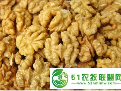 供应核桃仁 采购核桃仁新疆特色核桃仁 质量保证图1