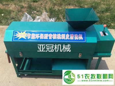 厂家**青核桃清洗脱皮机 节能核桃脱皮机图1