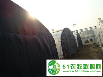 圆拱棚保温被加工图1