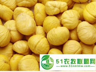 供应栗米图1