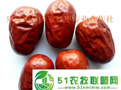 新疆和田大枣厂家批发团购 品质好价格优惠图1