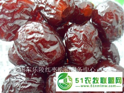 山东蜜枣批发加工厂家图1