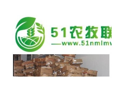 供应江苏冷库销售 500立方冷库价格 板栗冷库图1