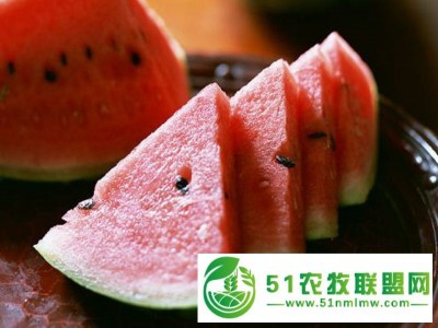 供应西瓜图1