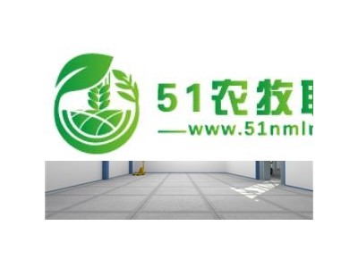 安徽大型板栗保鲜冷库安装，板栗保鲜冷库贮藏方法图1