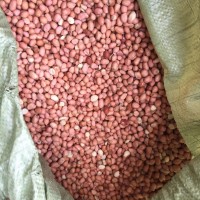 非洲塞内加尔 冈比亚 科特迪瓦花生 小白沙和油豆