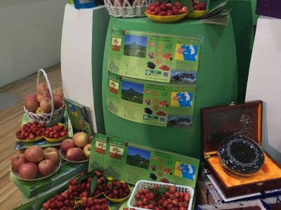 果树用什么样的化肥较好图1