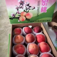 桃子栽种