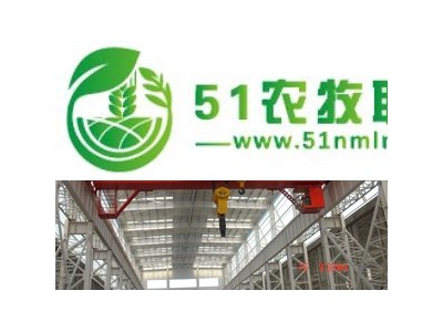 供应起重机械，电动葫芦图1