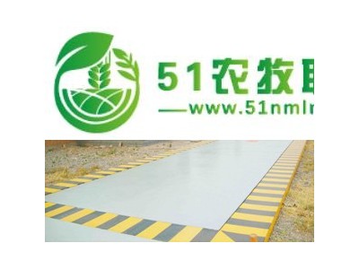 全国统销攀枝花电子地磅/青浦地磅规格/吐鲁番卡车地磅/吐鲁番移动地磅/朔州40吨地磅图1