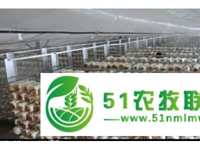 食用菌智能化栽培管理系统图1