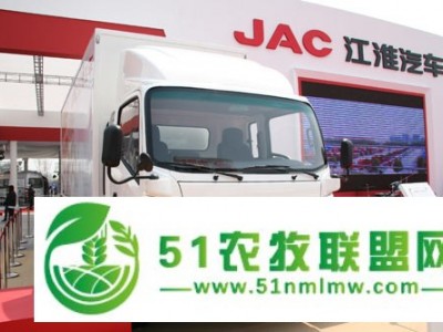 供应各型号农用机车家用汽车电动车 江淮图1