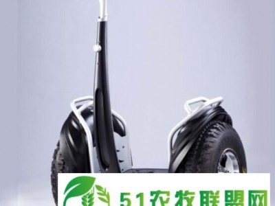 电动*轮车新一代代步工具迷你电动*轮车轻便，携带方便，*轮车厂家直接网上供应批发价格图1