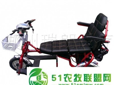 珍美澳双人折叠老年电动代步车 灵活多用 体积小图1