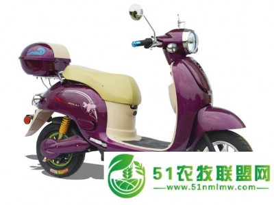 电动车厂家价位——买质量可靠的*龟电动车当然是到麦科特了图1