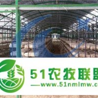 食用菌网架批发-食用菌架厂家-蘑菇网架价格